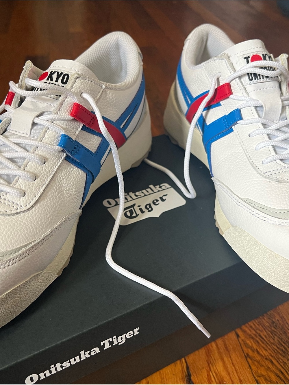 Onitsuka Tiger Men's Delegation EX